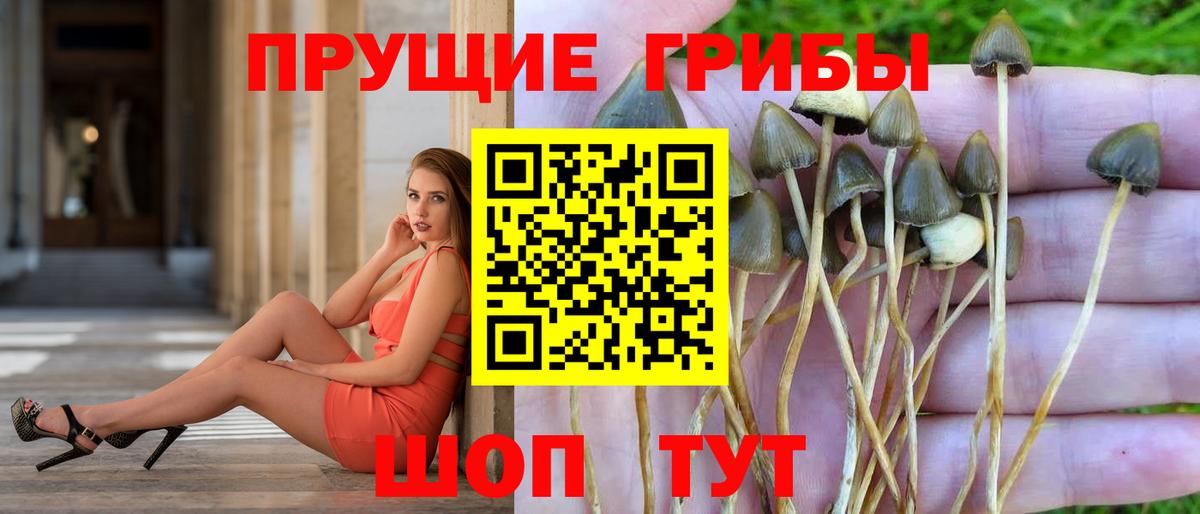 Орск  Псилоцибиновые грибы мицелий  Вход с VPN  Псилоцибиновые грибы MAGIC MUSHROOMS 