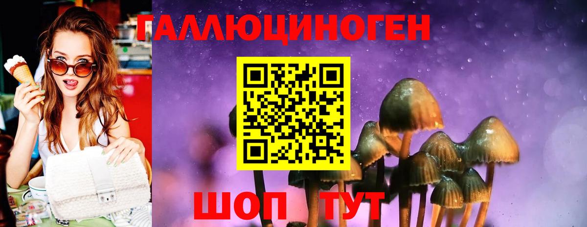 Псилоцибиновые грибы мицелий Орск